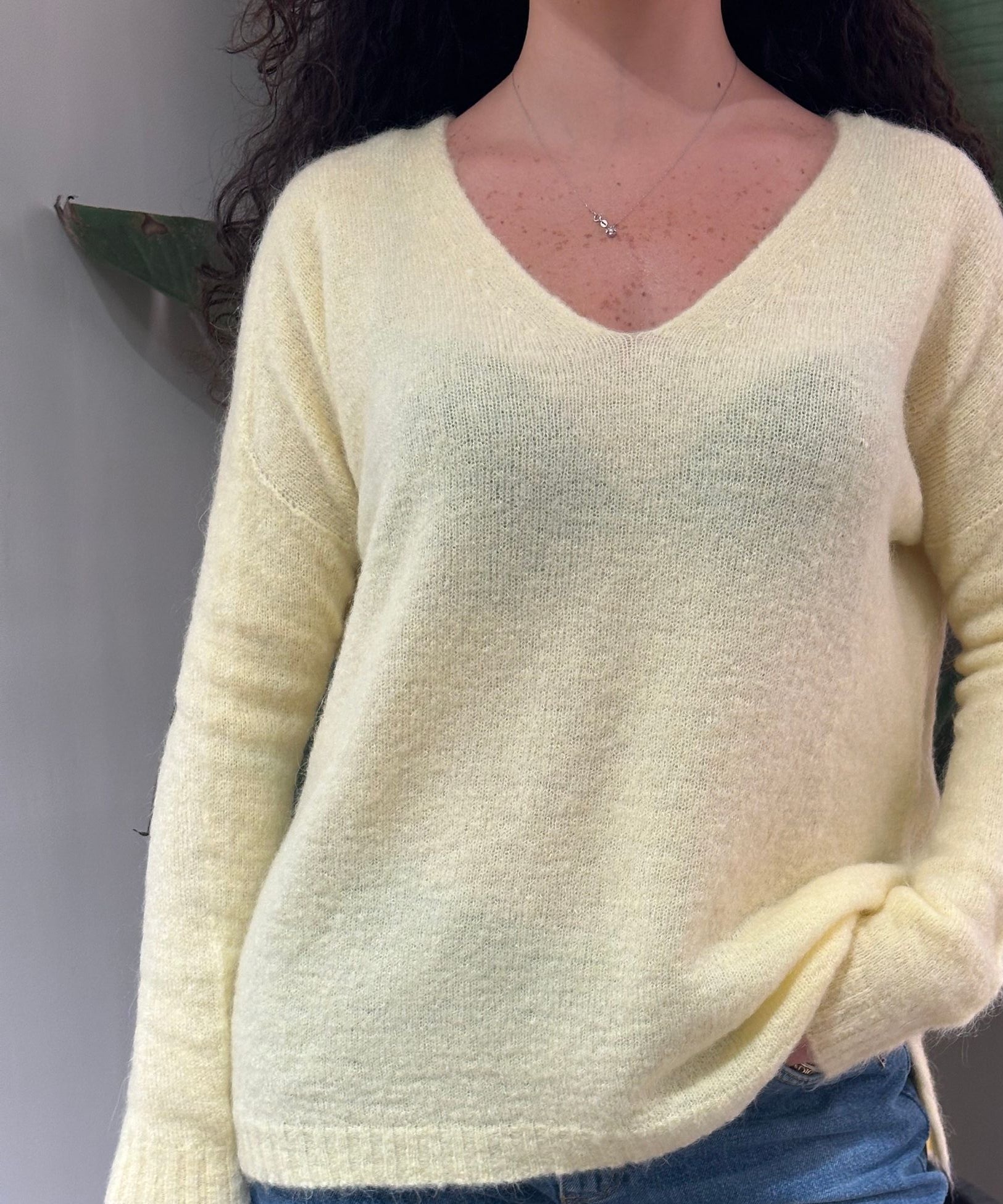 Vicolo Maglione con Orsetto Davanti