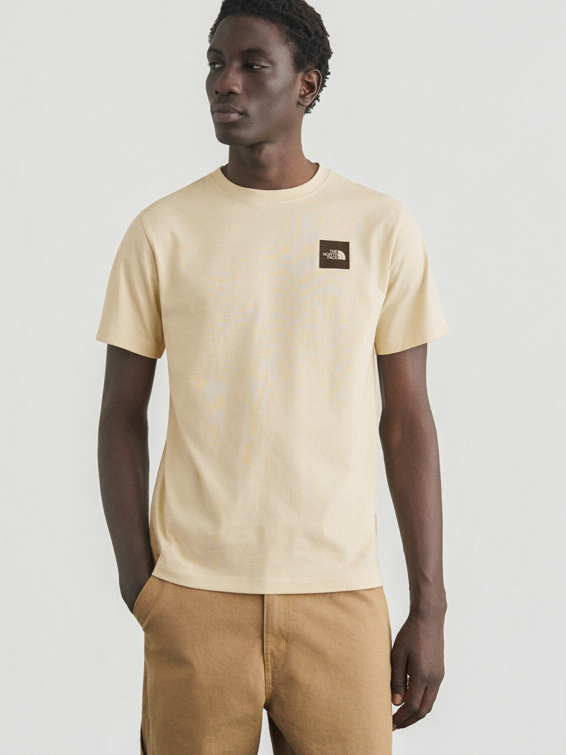 The North Face T-shirt Evolution Box Half Dome Regular