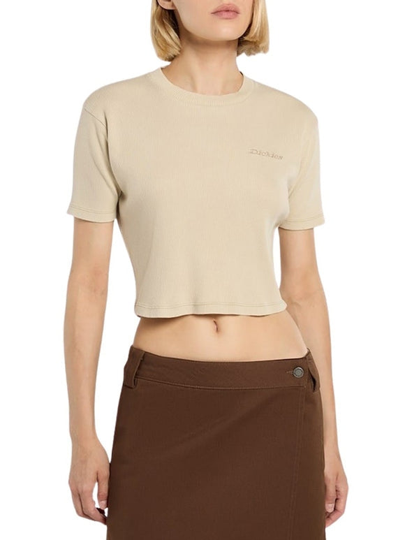 Dickies T-Shirt Pesante Plentywood