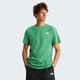 The North Face T-shirt Evolution NSE Box Regular