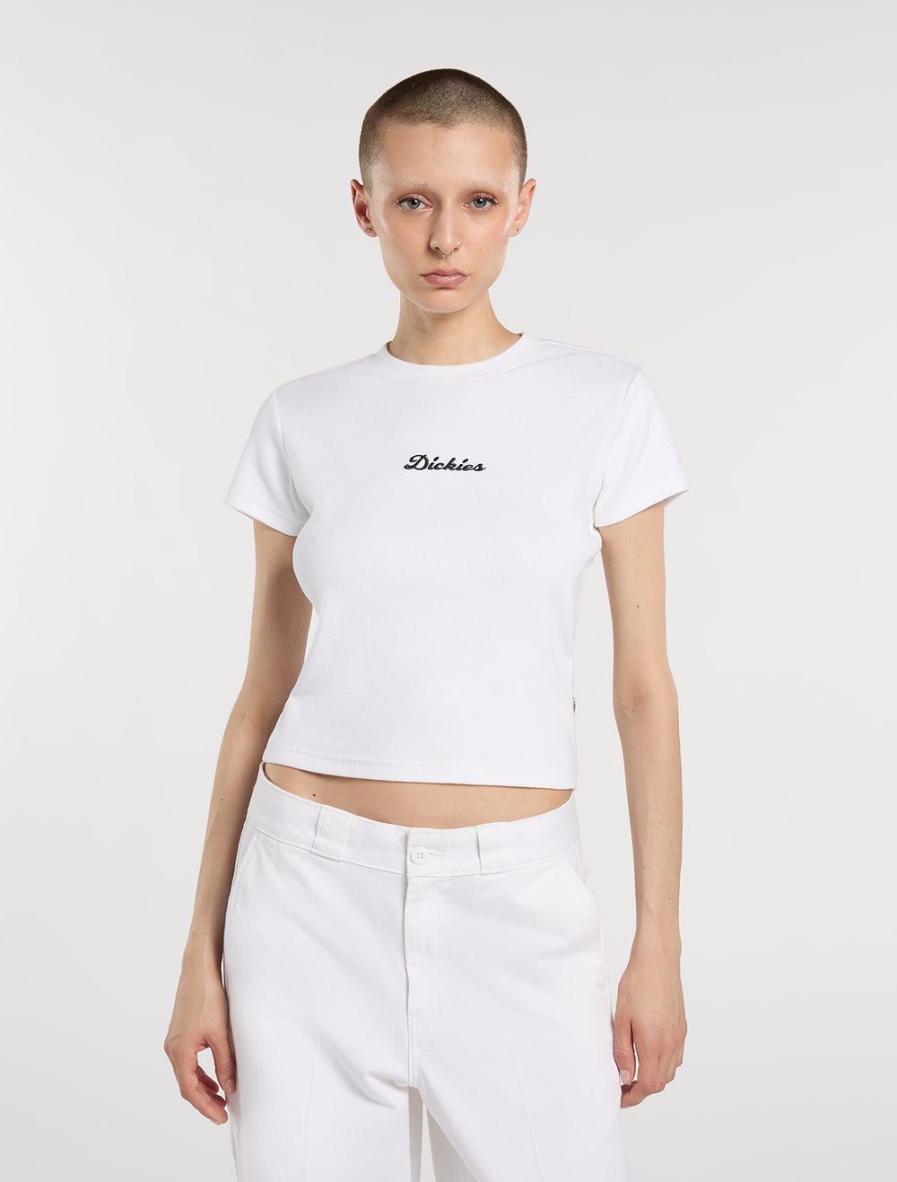 Dickies T-Shirt di Peso Medio Wellsville