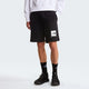 The North Face Pantaloncini NSE Box Light Regular 
Nero