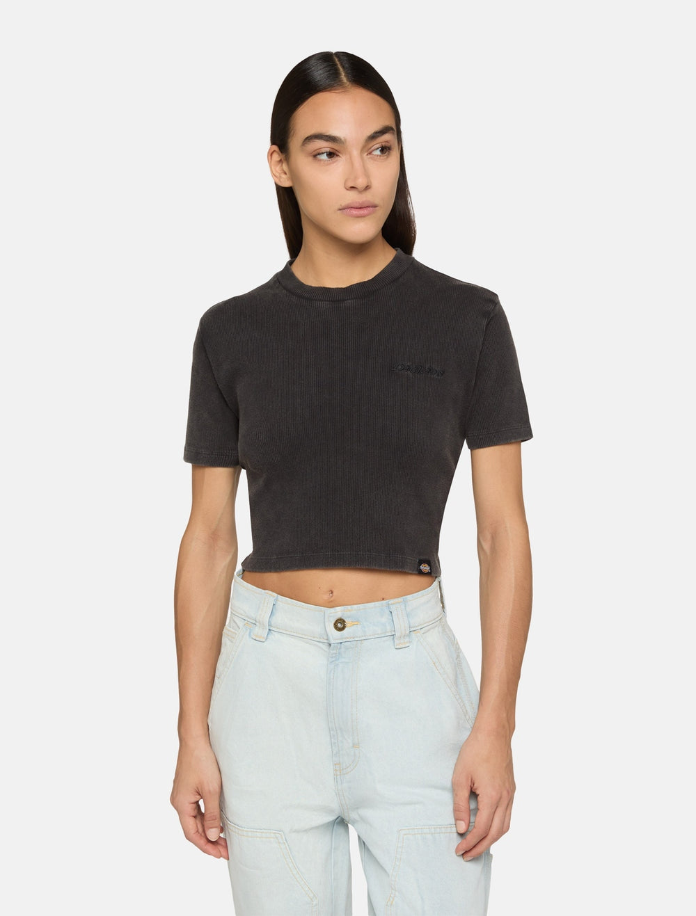 Dickies T-Shirt Pesante Plentywood