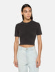 Dickies T-Shirt Pesante Plentywood