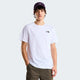 The North Face T-shirt Evolution NSE Box Regular