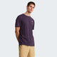 The North Face T-shirt Evolution Simple Dome Regular