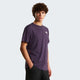 The North Face T-shirt Evolution NSE Box Regular