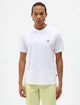 Dickies T-shirt Leggera Mapleton