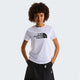 The North Face T-shirt Evolution Half Dome Slim