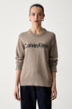 Calvin Klein Pullover in Stile Urbano Marrone